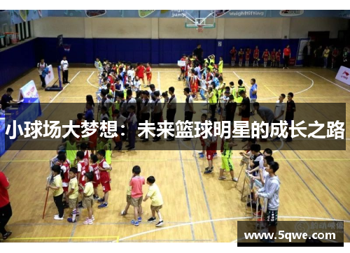 小球场大梦想：未来篮球明星的成长之路